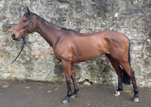 Ballyfort